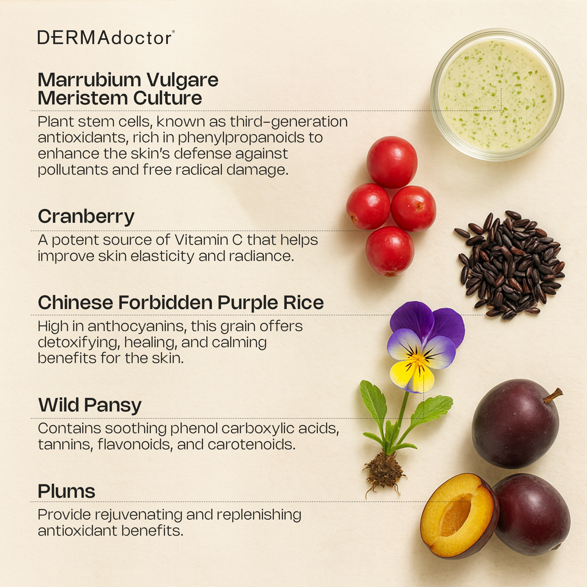 Urban Veil Antioxidant Pollution Prevention Vitamin C Face Serum, Face Serum for Anti Aging, Hydrating & Skin Barrier Repair