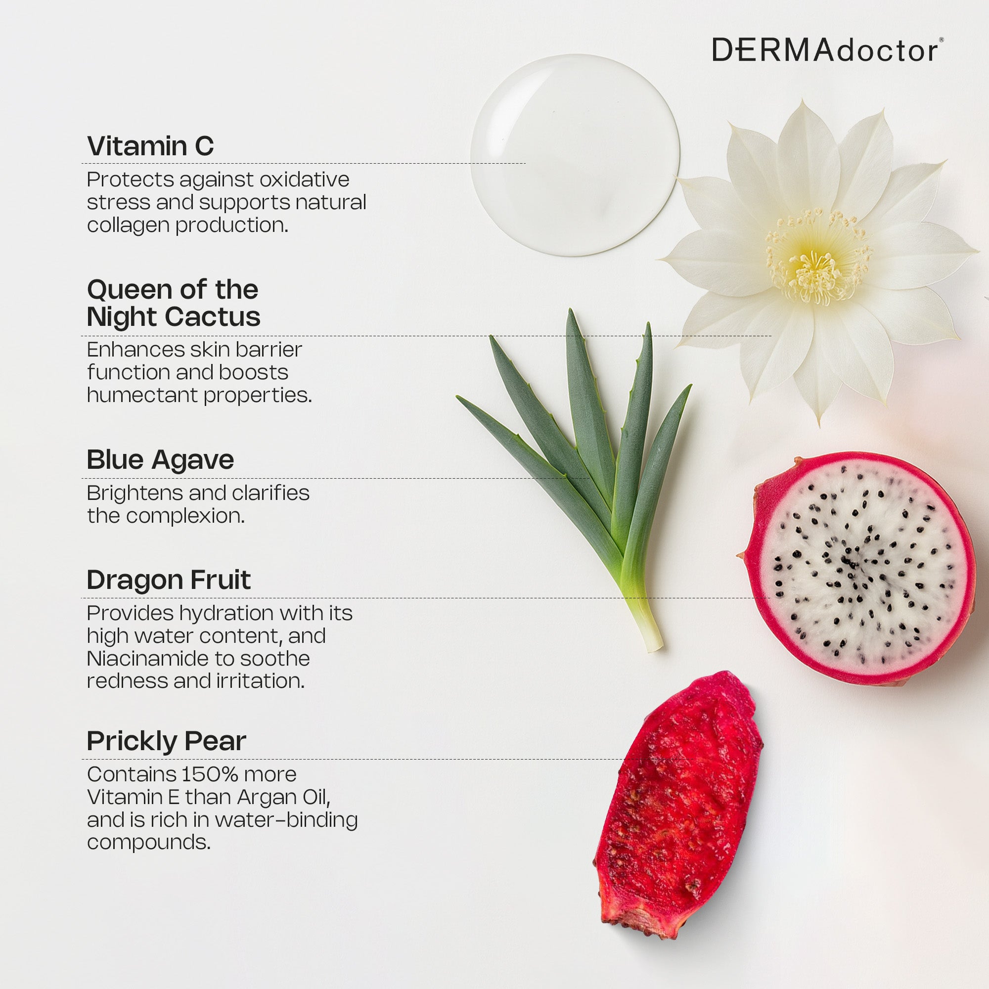 Calm Cool + Corrected Moisture Recovery Hyaluronic Acid Serum