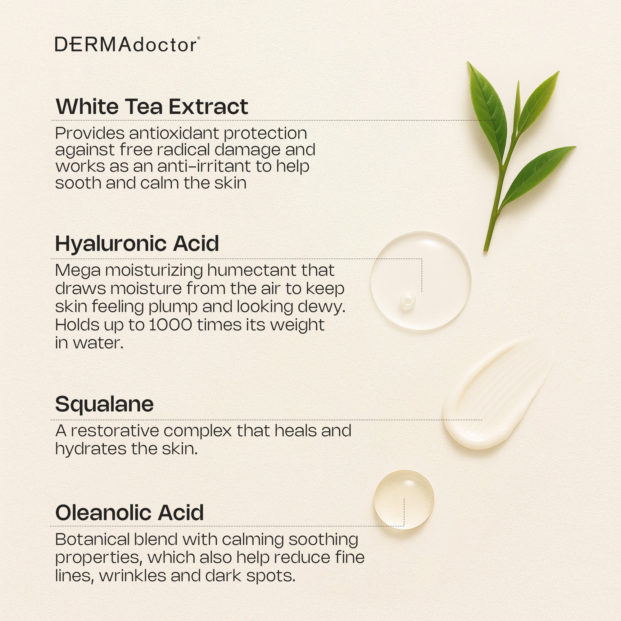 Calm Cool & Corrected Anti-Redness Moisturizing Tranquility Cream