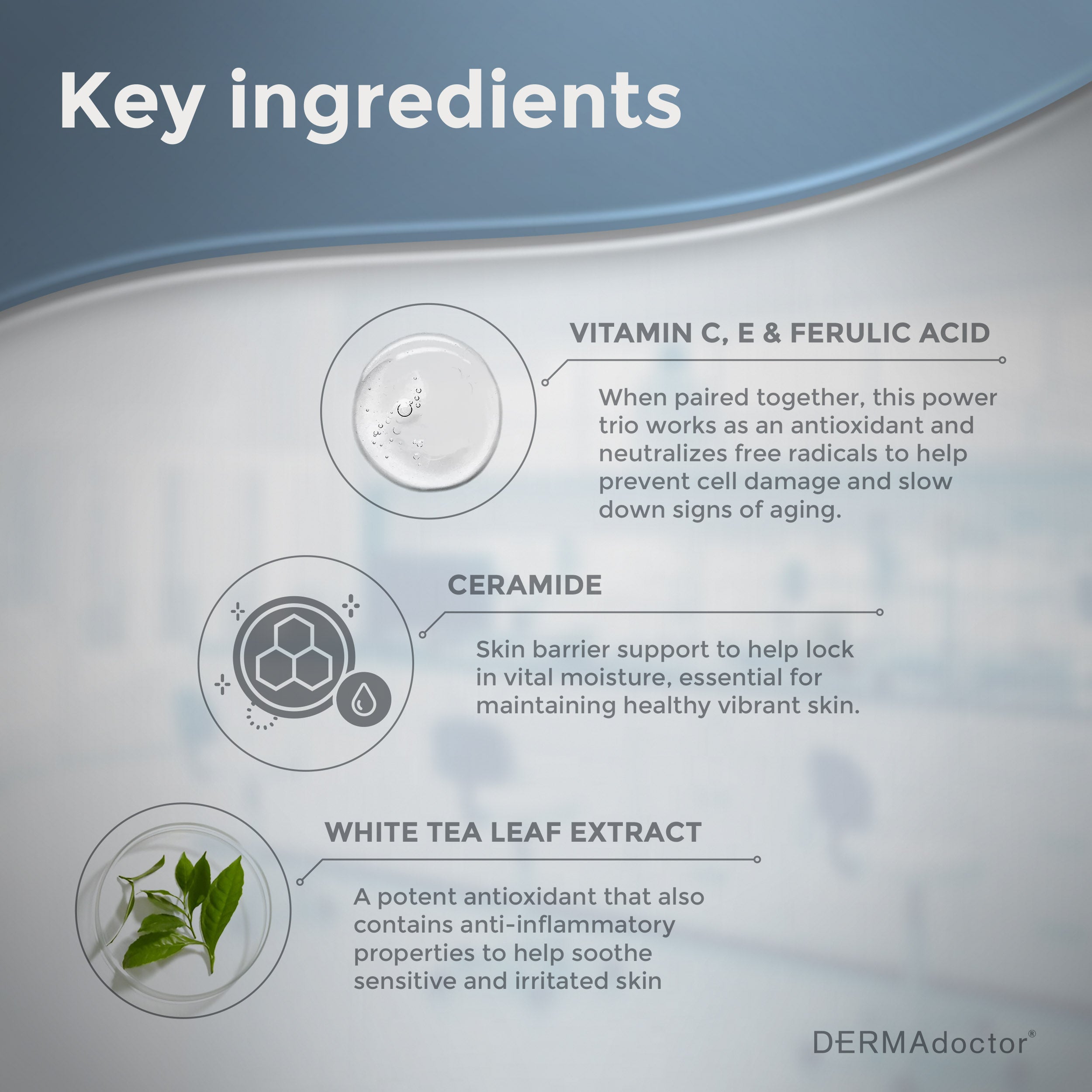 Calm Cool + Corrected Ceramide C Ferulic Acid + E Brightening Ultra Rich Moisturizing for Sensitive Skin