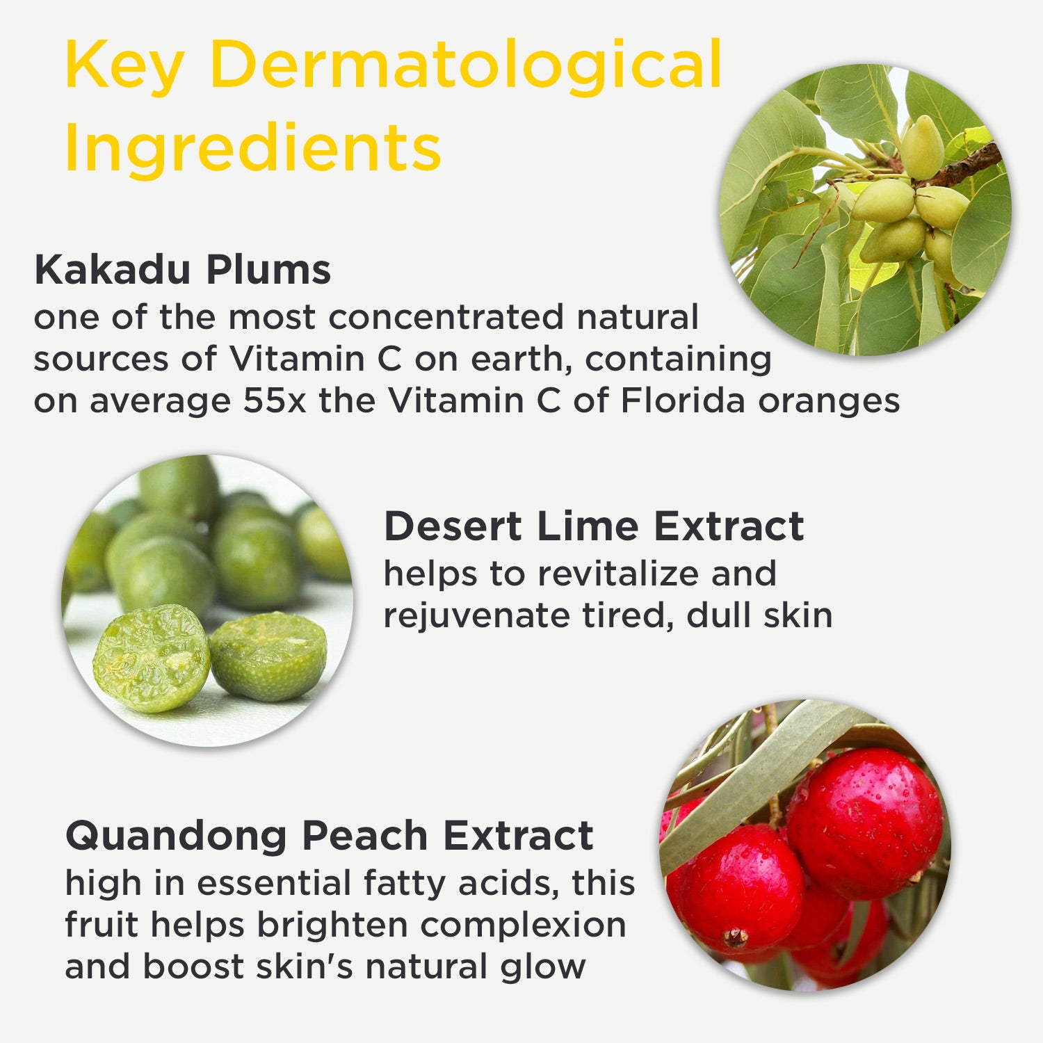 Kakadu C Face Crème & Peel Pad Duo