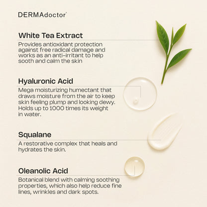 Calm Cool &amp; Corrected Anti-Redness Moisturizing Tranquility Cream