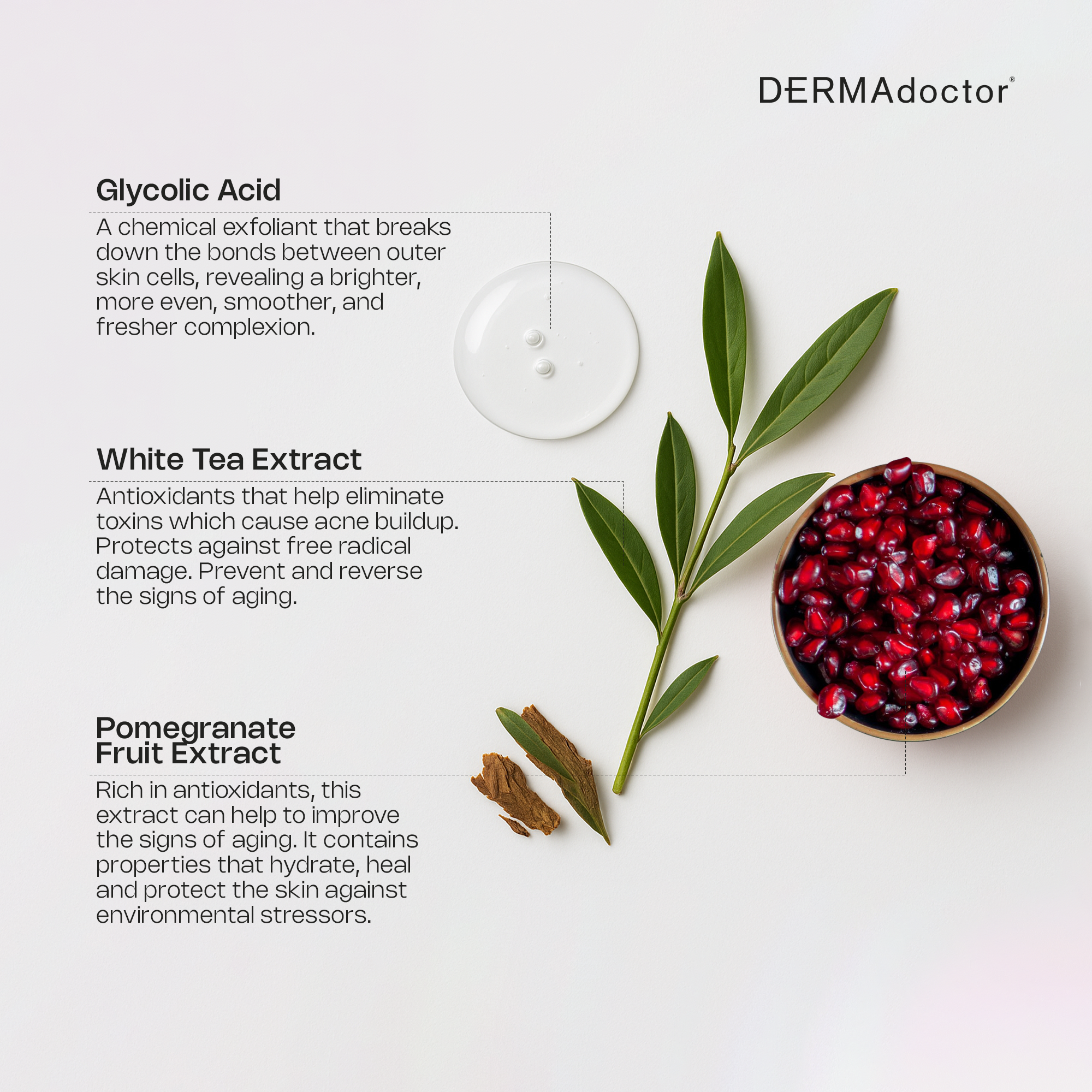 Wrinkle Revenge Antioxidant Enhanced Glycolic Acid Facial Cleanser