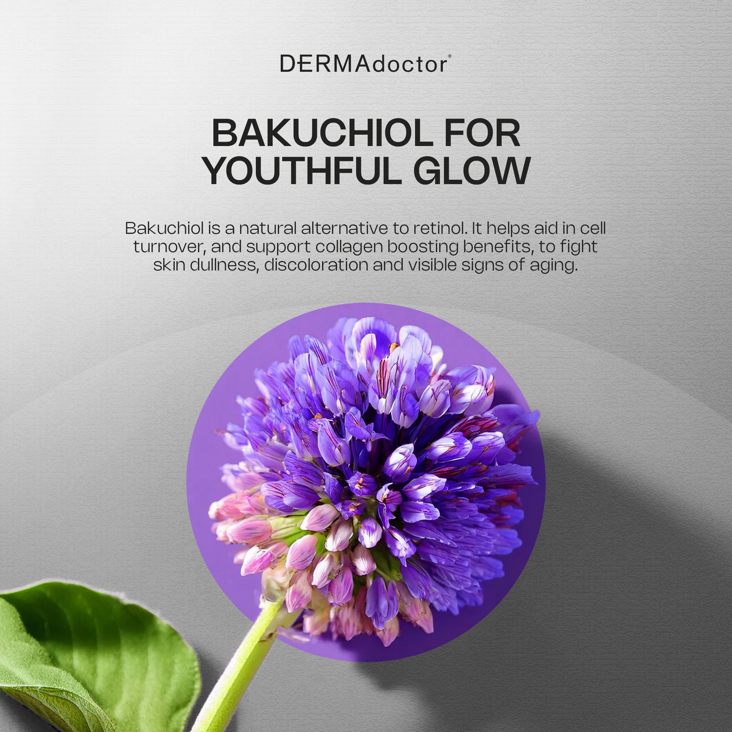 dermadoctor lucky bamboo serum Calm Cool + Corrected Bakuchiol Retinol Alternative Serum – Dermadoctor