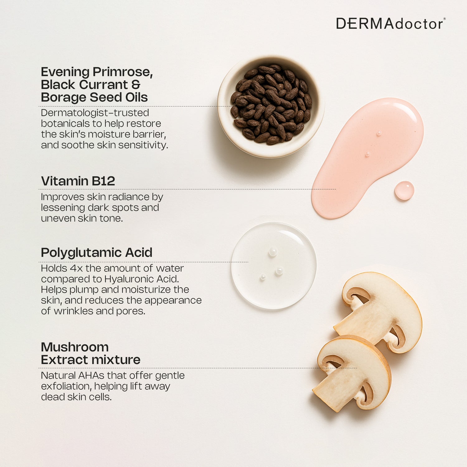 dermadoctor lucky bamboo serum Calm Cool + Corrected Bakuchiol Retinol Alternative Serum – Dermadoctor