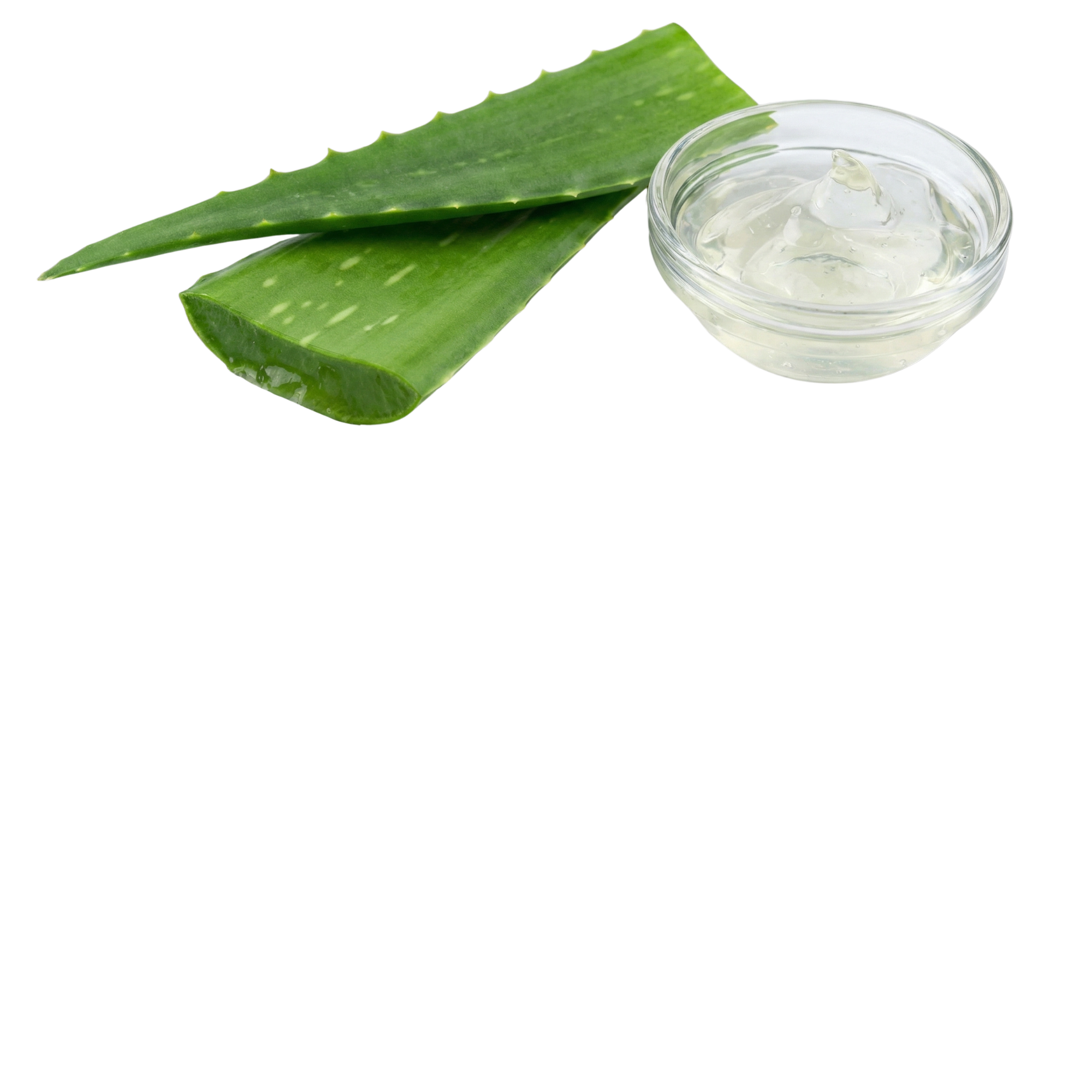 lucky bamboo quench & set essence spray Lucky Bamboo Quench & Set Essence Spraya – Dermadoctor