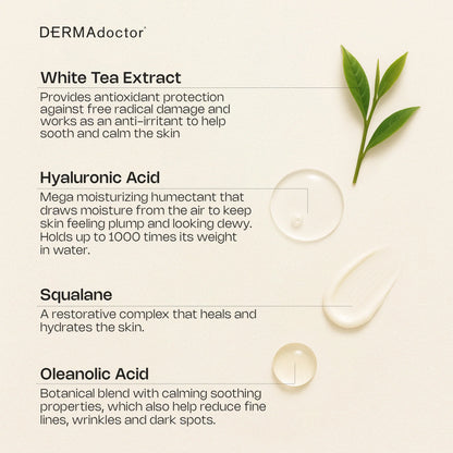 Calm Cool &amp; Corrected Tranquility Cleanser &amp; Cream Duo