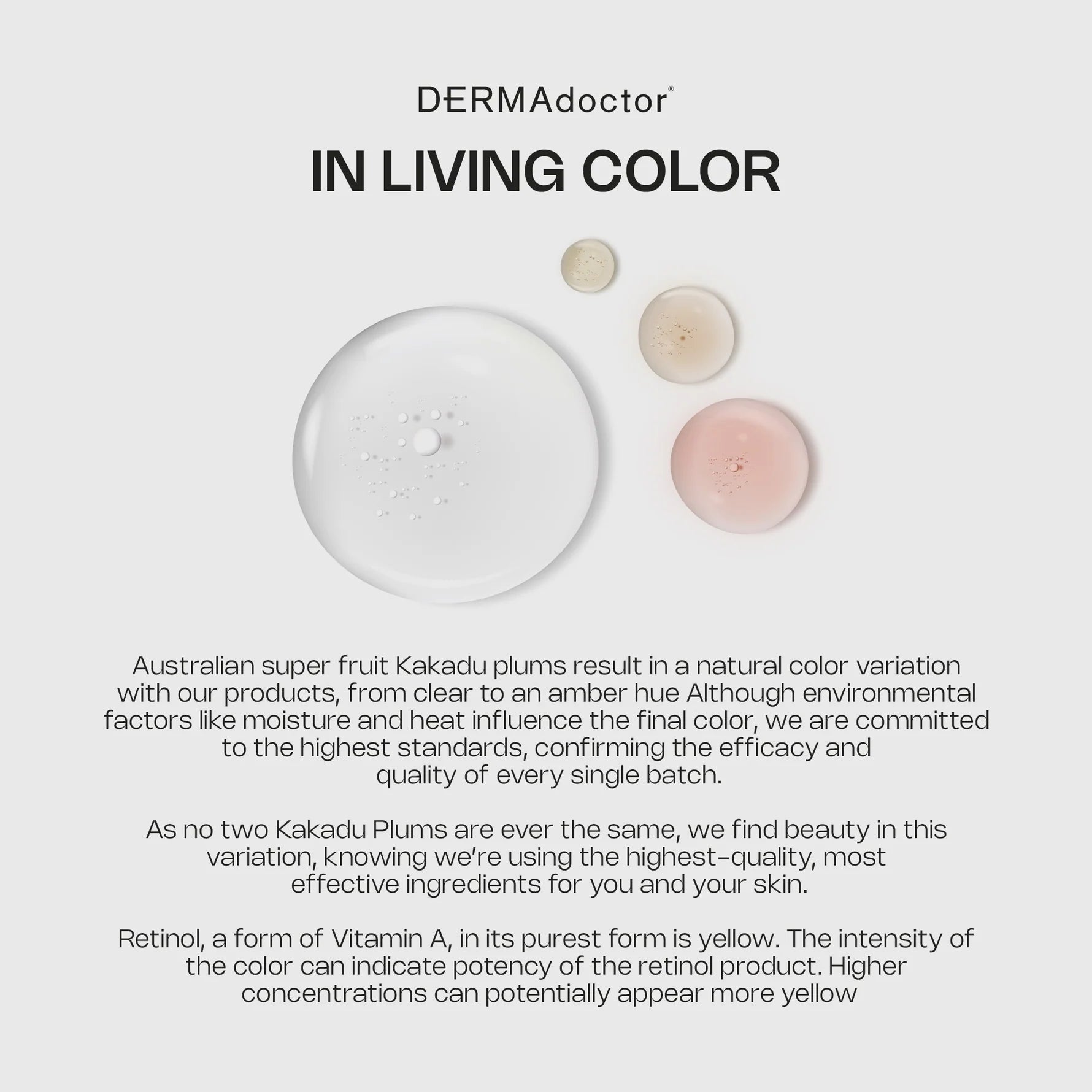 Kakadu C Day/Night Brightening Duo