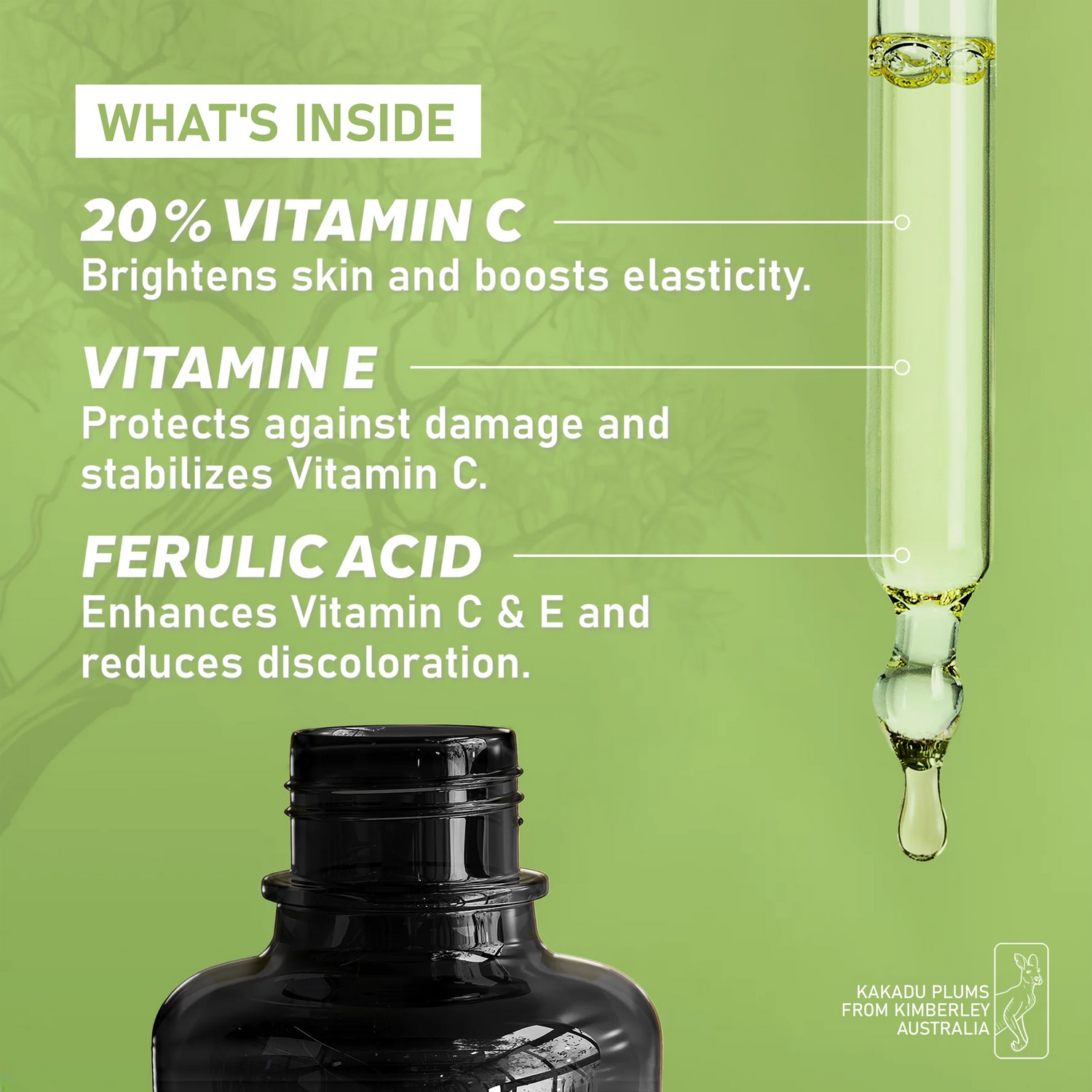 Kakadu C Brightening Intro Kit